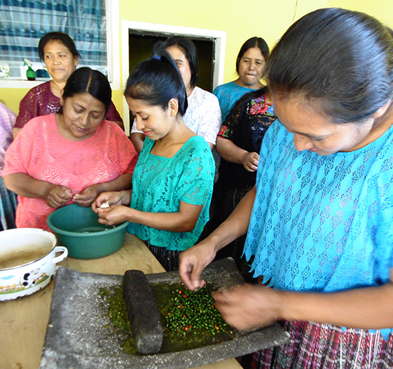 Fortalecimiento de la agricultura 6